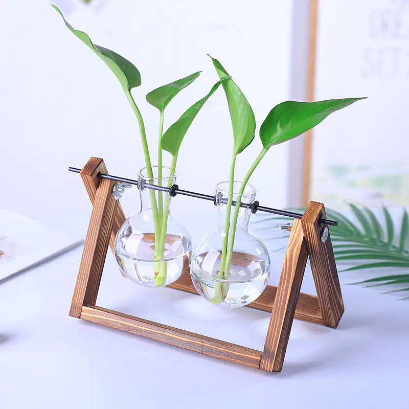 Sophisticated Glass Vase for Plant