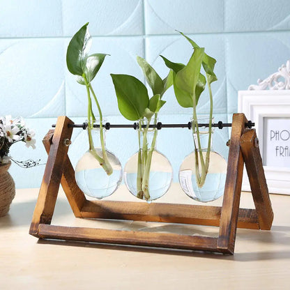 Sophisticated Glass Vase for Plant