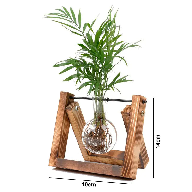 Sophisticated Glass Vase for Plant