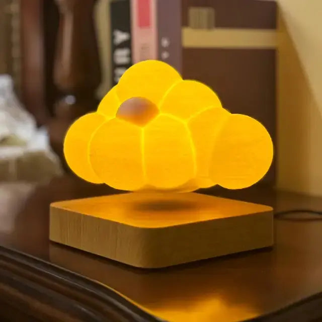 LED Floating Lamp Lighting