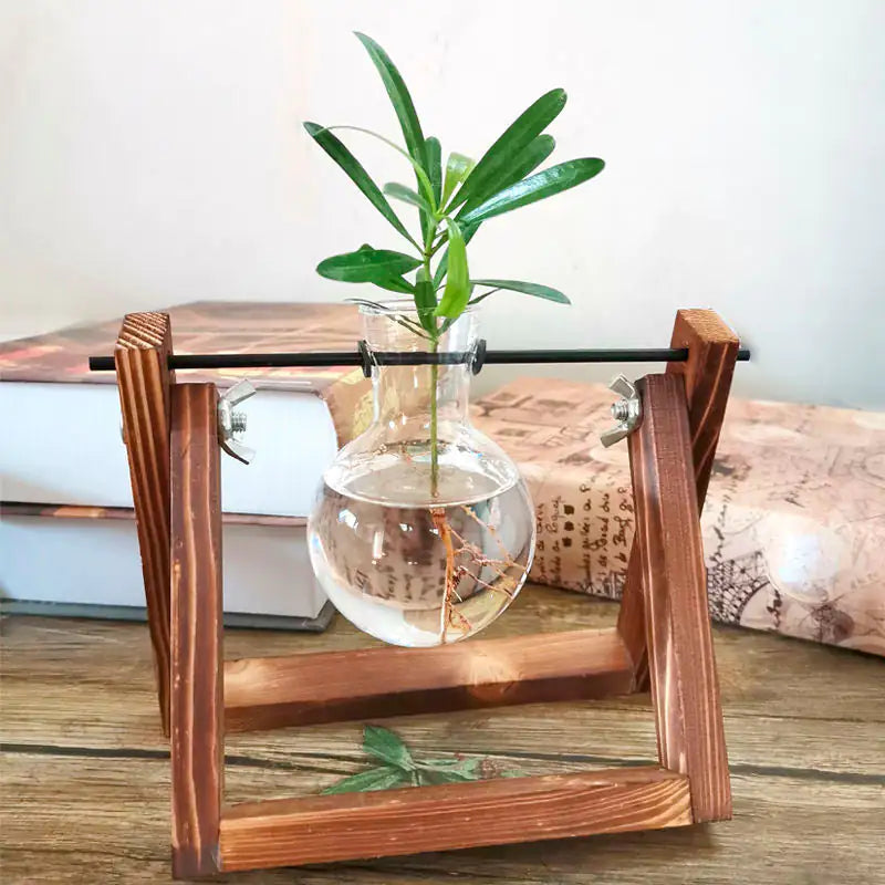 Sophisticated Glass Vase for Plant